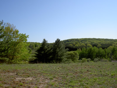 East Bay Township country side view